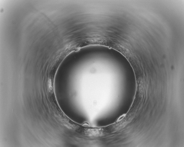 X0000087060089200704251040