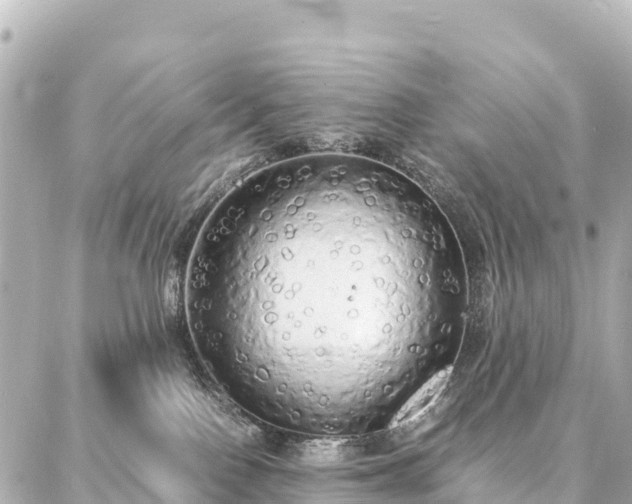 X0000087060090200704251040