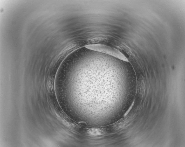 X0000087060091200704251040