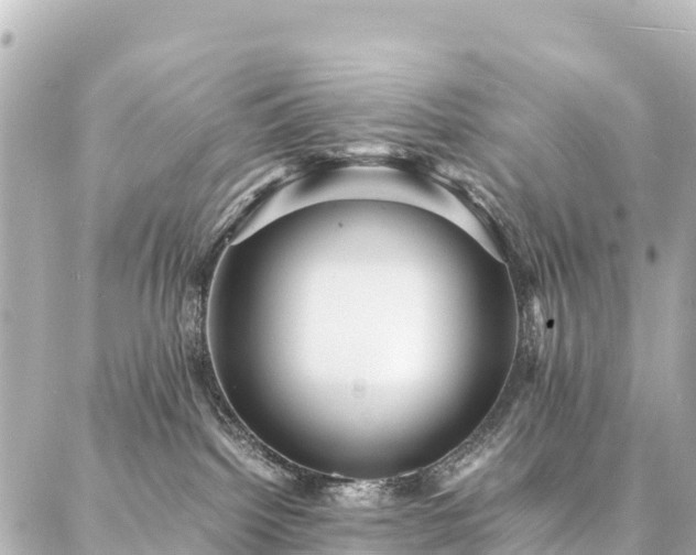 X0000087060092200704251040