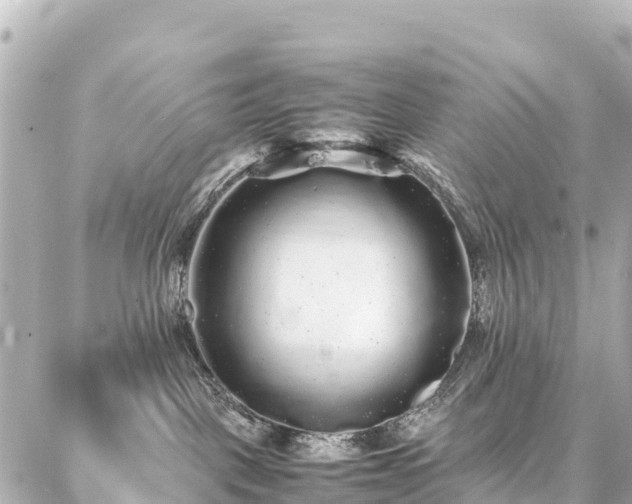 X0000087060093200704251040