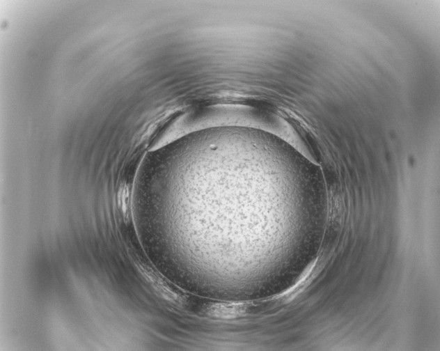 X0000087060094200704251040