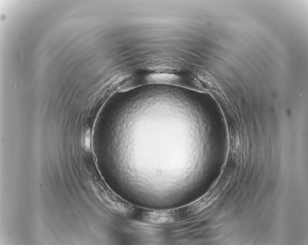 X0000087060095200704251040