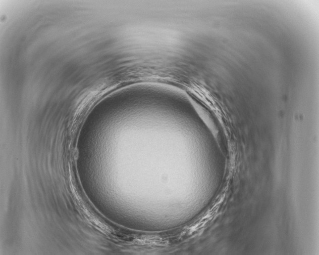 X0000087060097200704251039