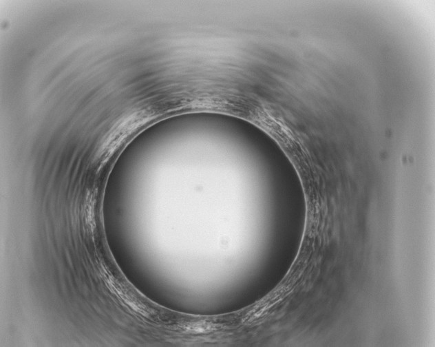 X0000087060098200704251039