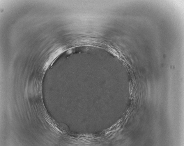 X0000087060099200704251039