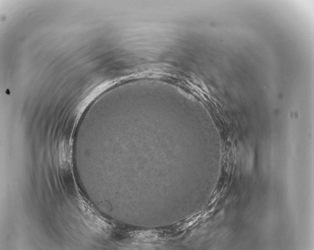 X0000087060100200704251039