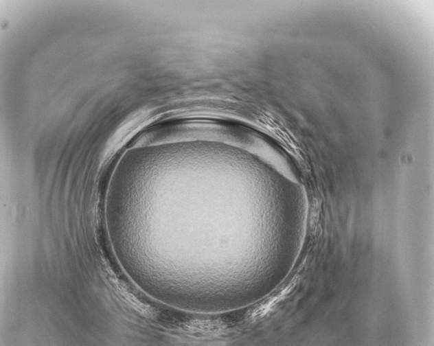 X0000087060101200704251039