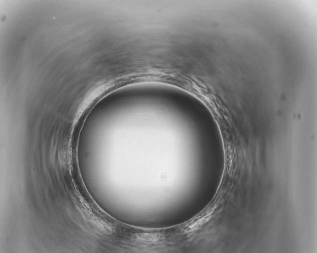 X0000087060102200704251039