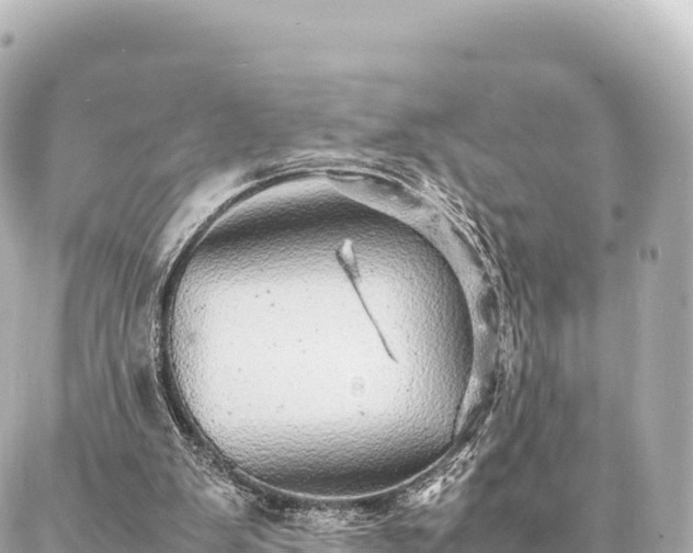 X0000087060103200704251039