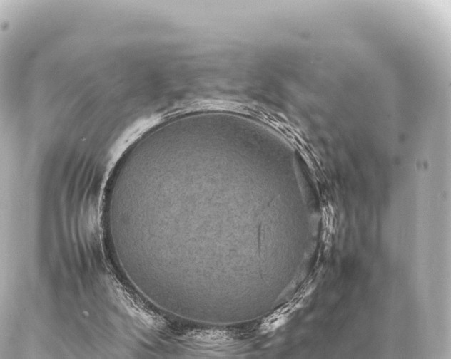 X0000087060104200704251039