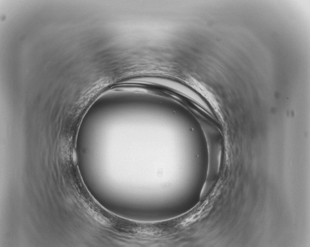 X0000087060105200704251039