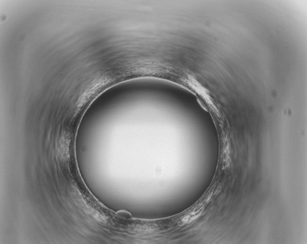 X0000087060106200704251039