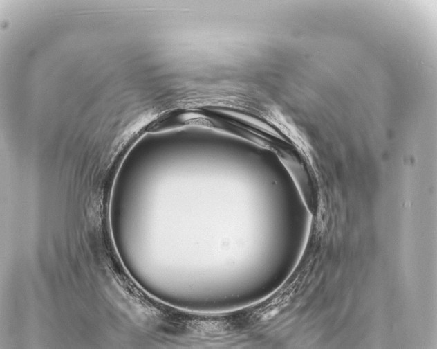 X0000087060107200704251039