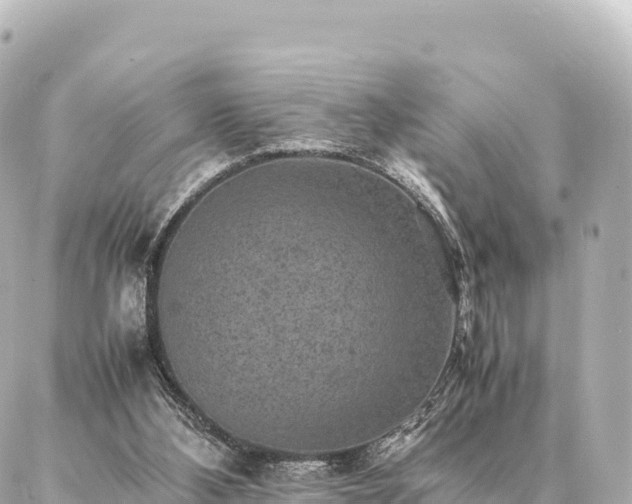 X0000087060108200704251039