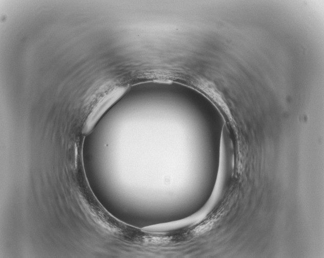 X0000087060109200704251039