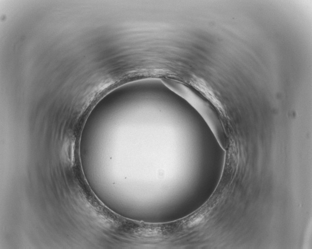 X0000087060110200704251039