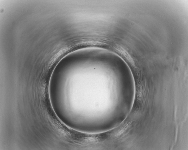 X0000087060111200704251039