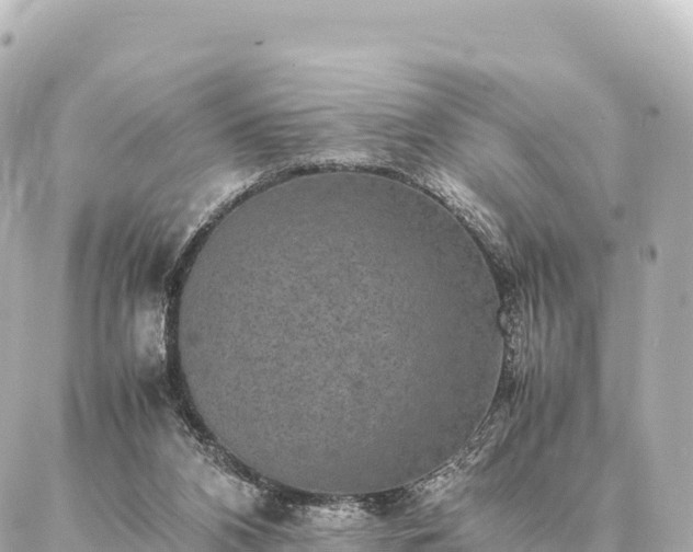 X0000087060112200704251039