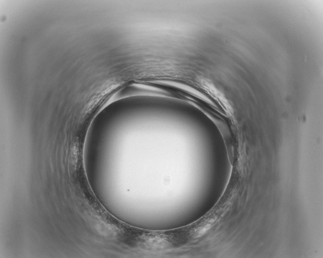 X0000087060113200704251039