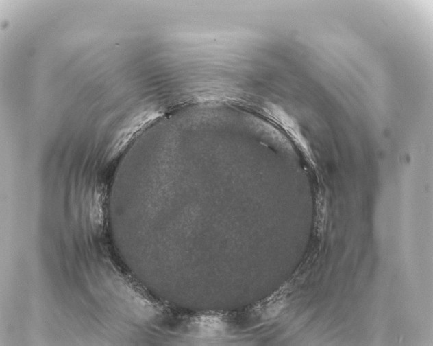 X0000087060114200704251039