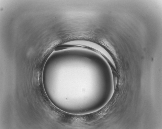 X0000087060115200704251039