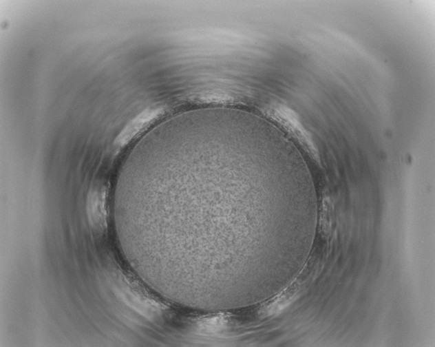 X0000087060116200704251039