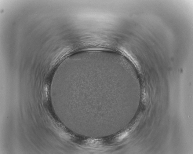 X0000087060117200704251039