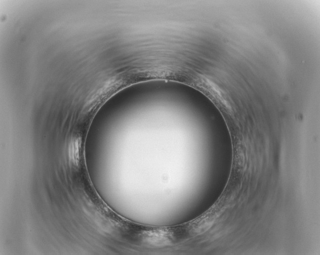 X0000087060118200704251039