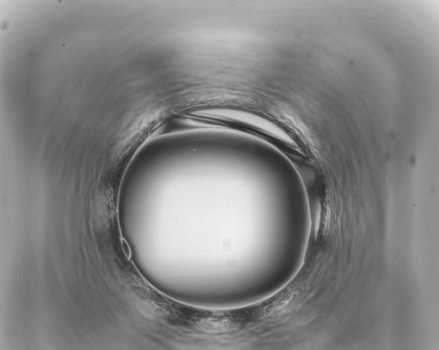 X0000087060119200704251039