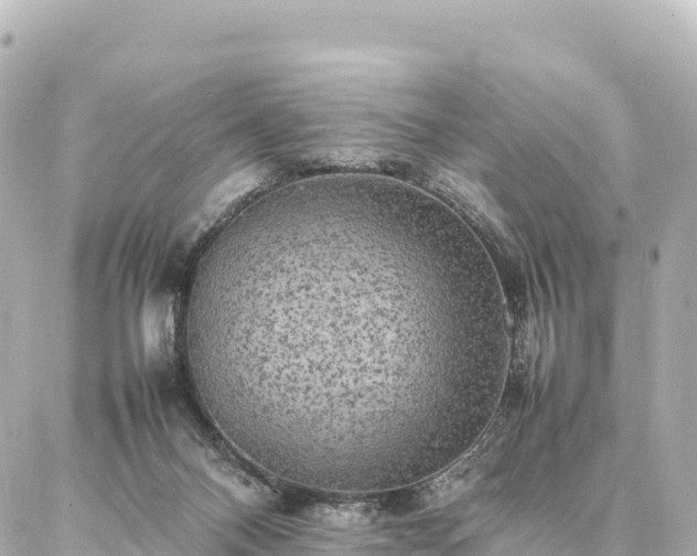 X0000087060120200704251039