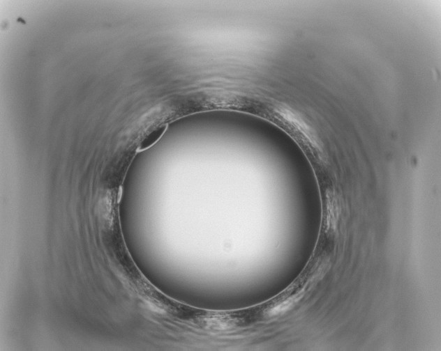 X0000087060121200704251039