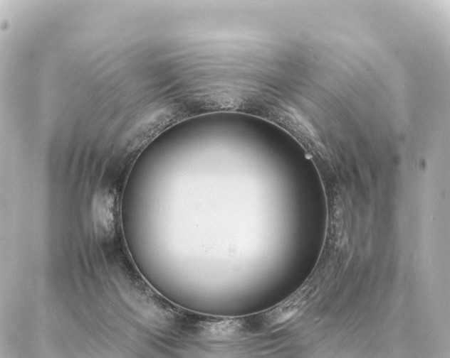 X0000087060122200704251039