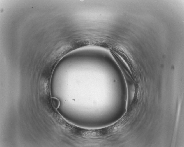 X0000087060123200704251039