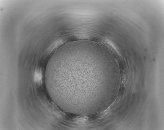 X0000087060124200704251039