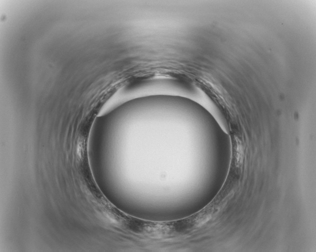 X0000087060125200704251039