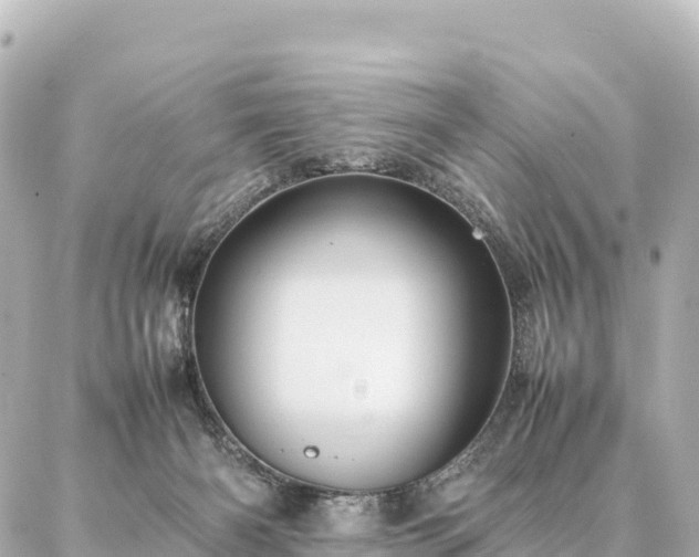 X0000087060126200704251039