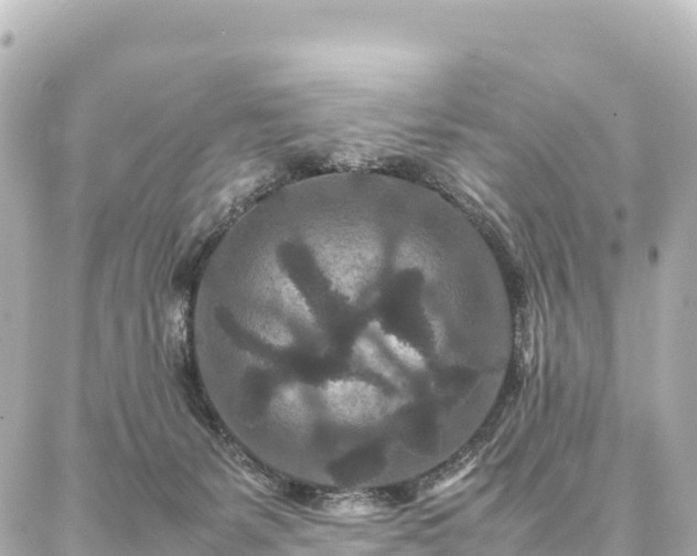 X0000087060127200704251039