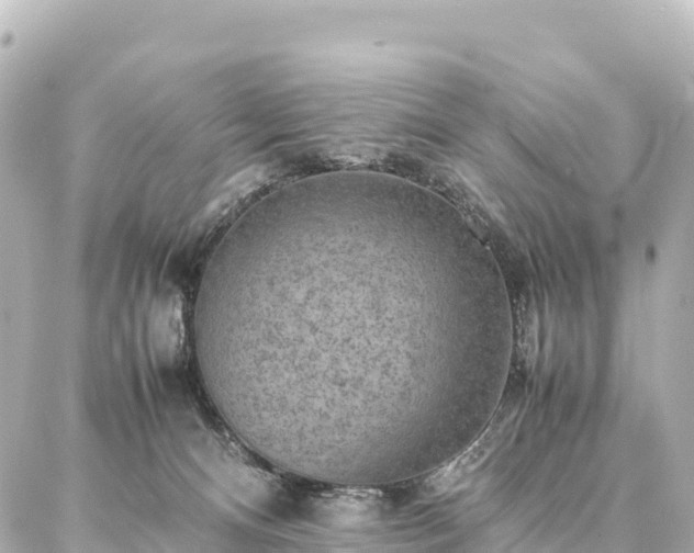 X0000087060128200704251039