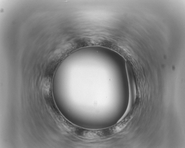 X0000087060129200704251039