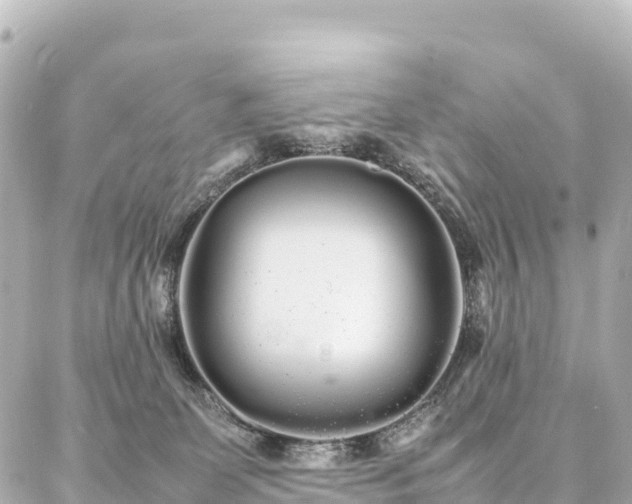 X0000087060131200704251039