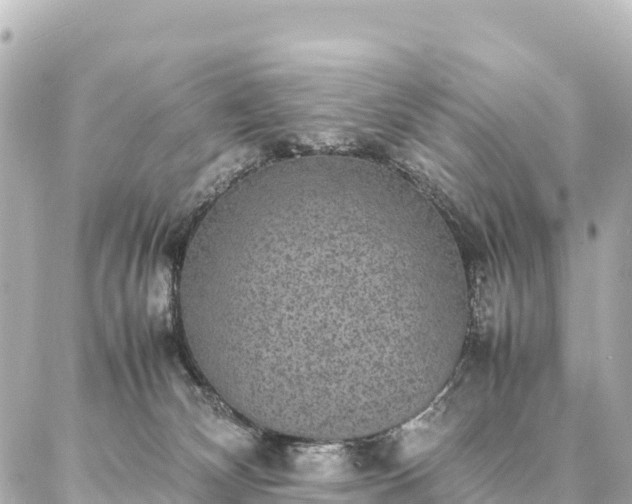 X0000087060132200704251039