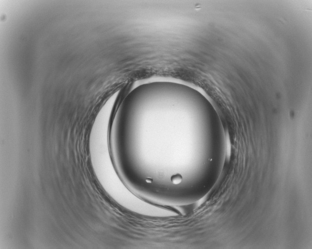 X0000087060133200704251039