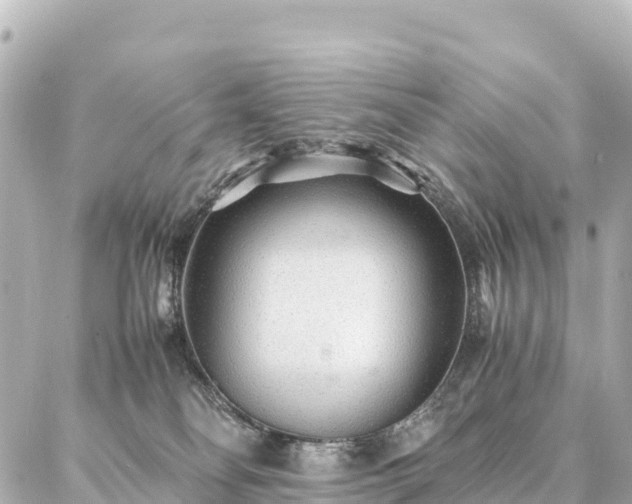 X0000087060134200704251039