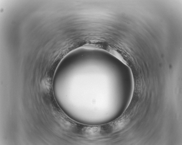 X0000087060135200704251039