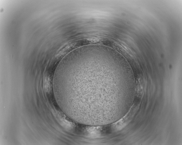 X0000087060136200704251039