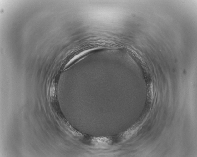 X0000087060137200704251039