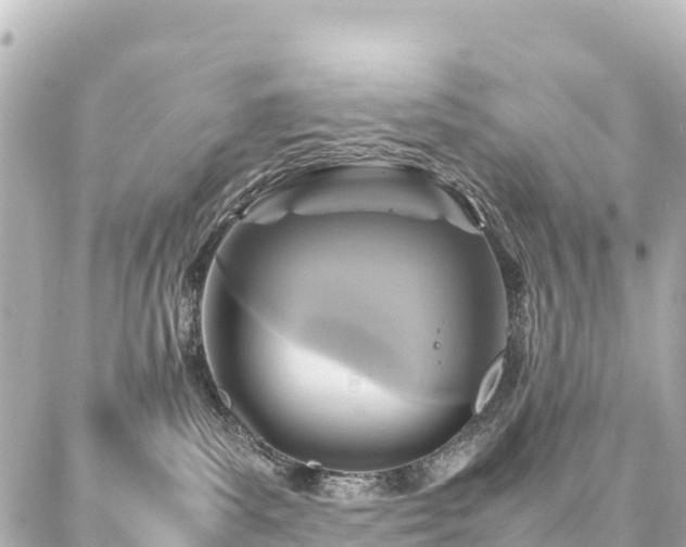 X0000087060139200704251038