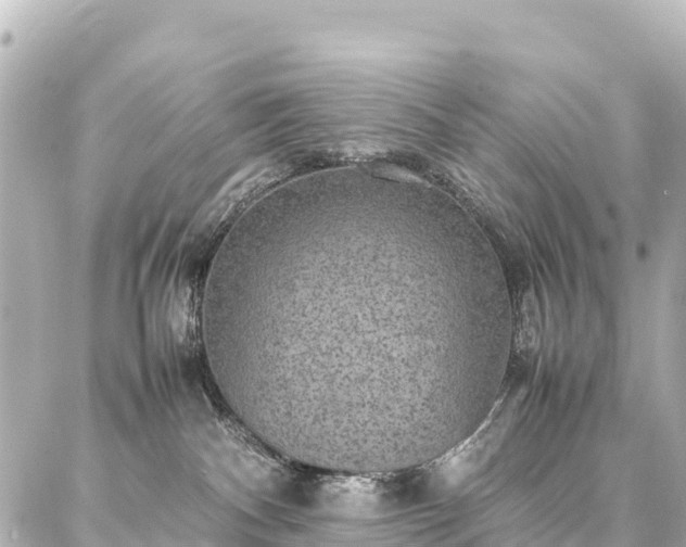 X0000087060140200704251038