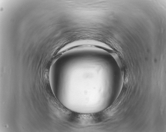 X0000087060141200704251038